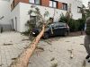 Bild-Nr. 728 Technische Hilfeleistung THL
