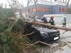 Bild-Nr. 736 Technische Hilfeleistung THL