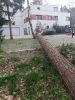 Bild-Nr. 737 Technische Hilfeleistung THL