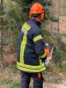 Bild-Nr. 729 Technische Hilfeleistung THL