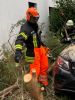 Bild-Nr. 732 Technische Hilfeleistung THL