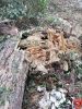 Bild-Nr. 892 Technische Hilfeleistung THL