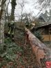 Bild-Nr. 893 Technische Hilfeleistung THL
