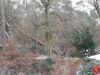 Bild-Nr. 897 Technische Hilfeleistung THL