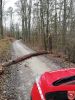 Bild-Nr. 920 Technische Hilfeleistung THL