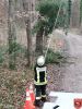 Bild-Nr. 921 Technische Hilfeleistung THL