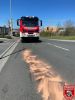 Bild-Nr. 949 Technische Hilfeleistung THL 1 Ölspur