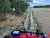Bild-Nr. 1368 Brandeinsatz B1