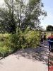 Bild-Nr. 1371 Technische Hilfeleistung THL