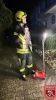 Bild-Nr. 1384 Brandeinsatz